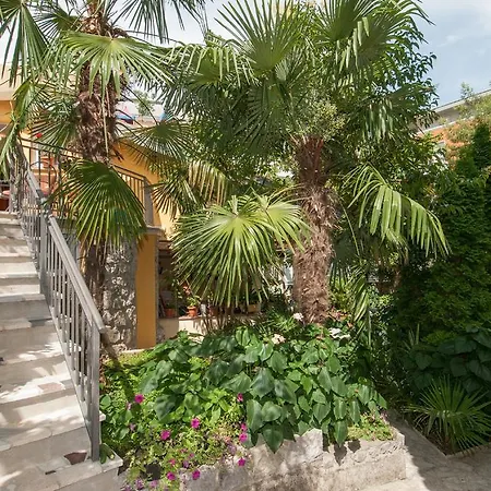 Center Ziric * أوباتيا